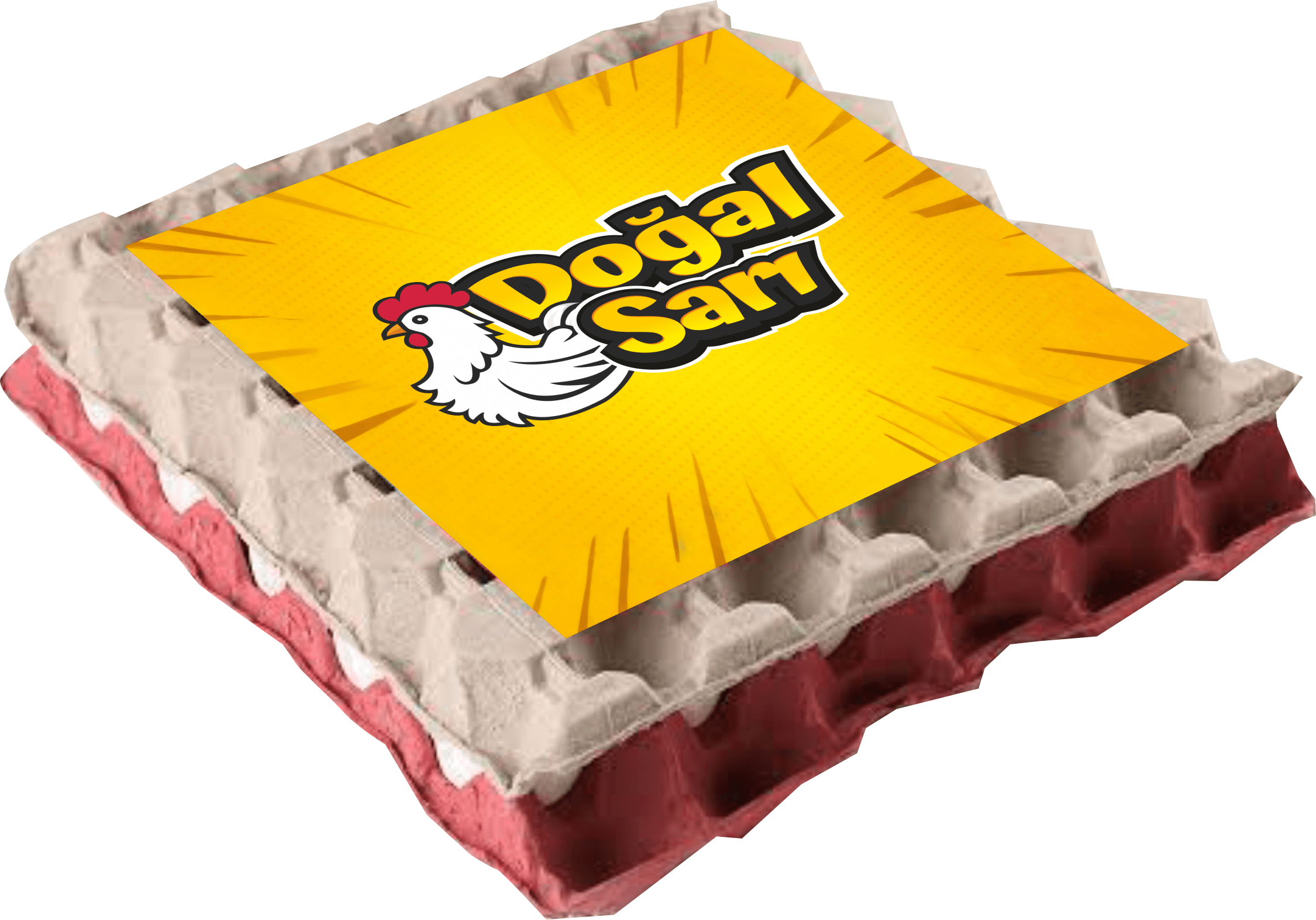 30 Adet L Boy Yumurta