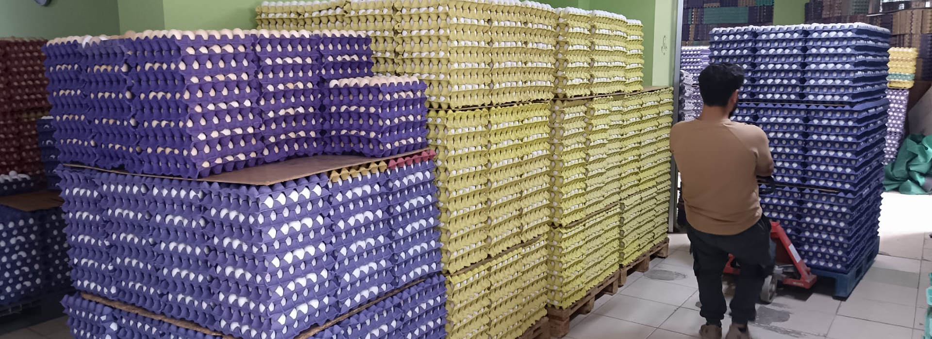 Saklama Kuşulları 3